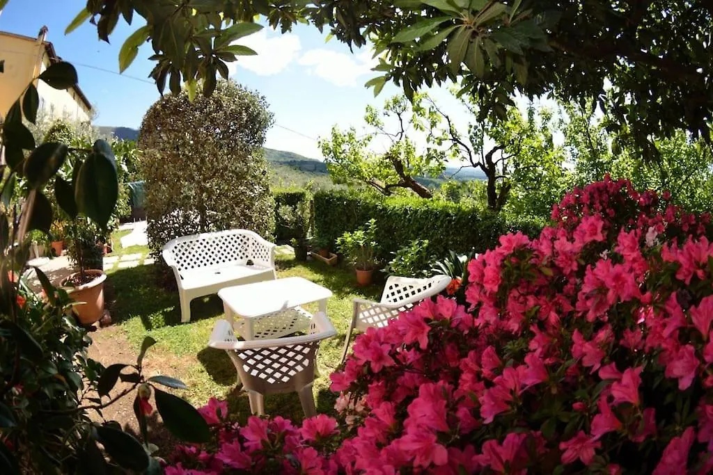 Alla Collina Del Sole Lucca Tatil Evi